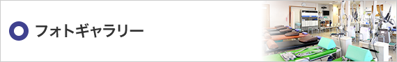 フォトギャラリー